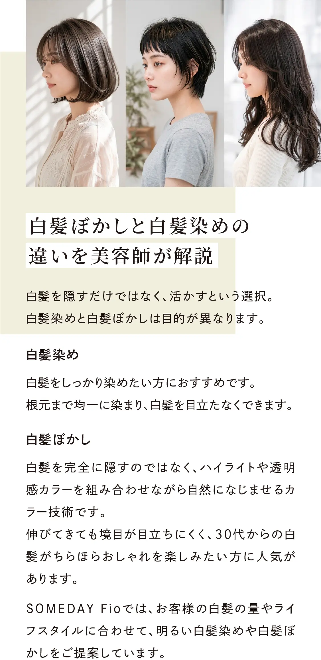 白髪ぼかしと白髪染めの違いを美容師が解説